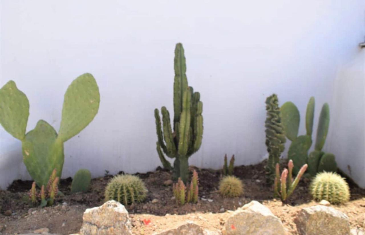 House Of Nikol - Cycladic Sensation Ano Mera